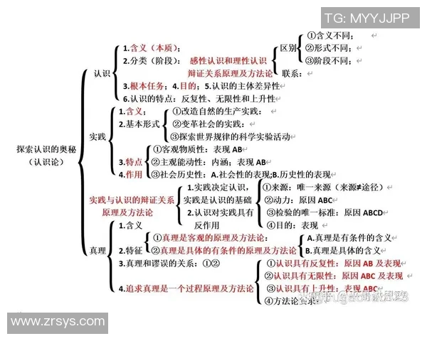王少杰:从平凡到卓越的奋斗历程与人生哲学探索