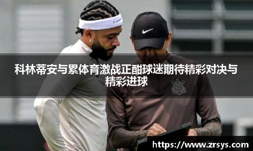 新利体育